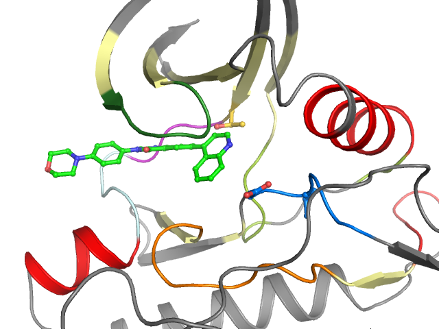 The orthosteric binding pocket
