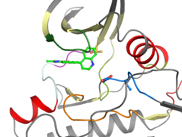 The orthosteric binding pocket