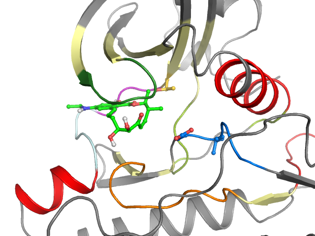 The orthosteric binding pocket