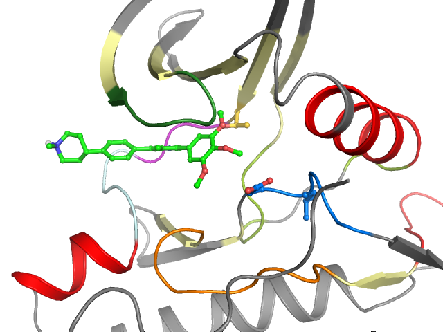 The orthosteric binding pocket