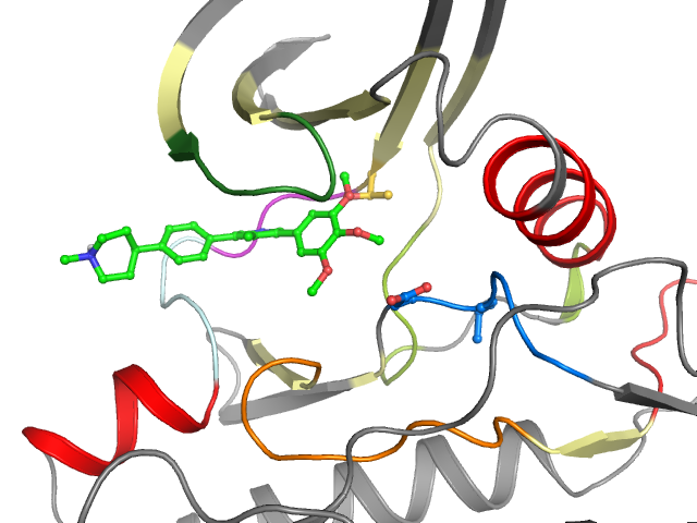 The orthosteric binding pocket