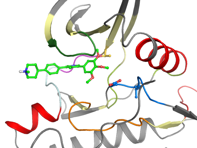 The orthosteric binding pocket