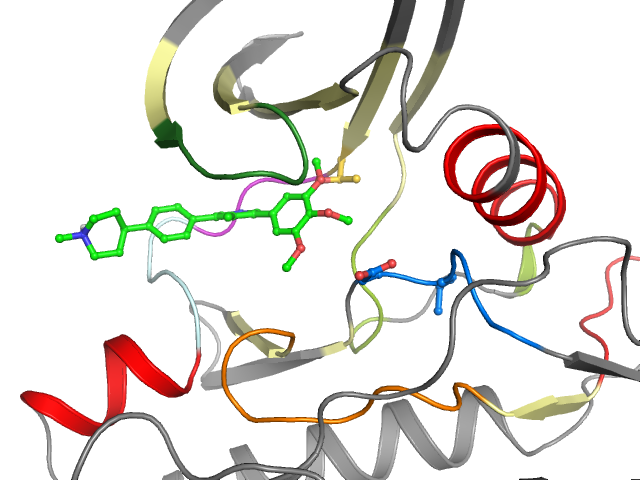 The orthosteric binding pocket