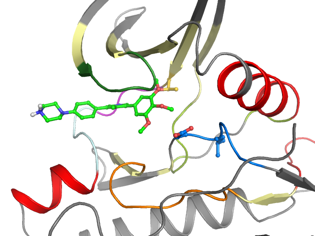 The orthosteric binding pocket