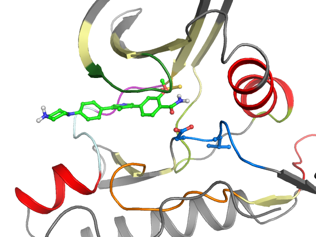 The orthosteric binding pocket