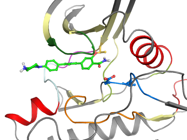 The orthosteric binding pocket