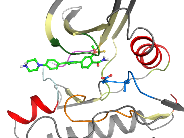 The orthosteric binding pocket