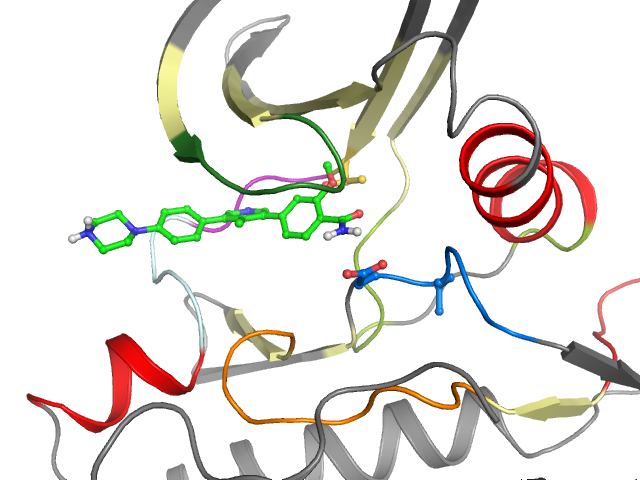 The orthosteric binding pocket