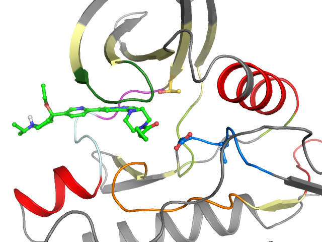 The orthosteric binding pocket