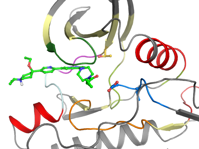 The orthosteric binding pocket