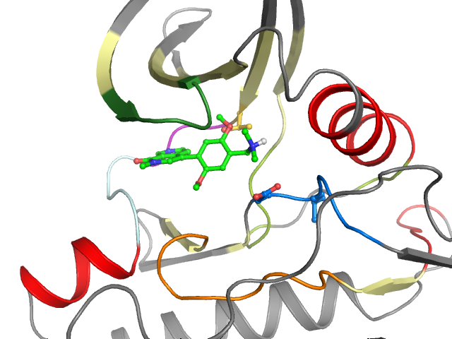The orthosteric binding pocket