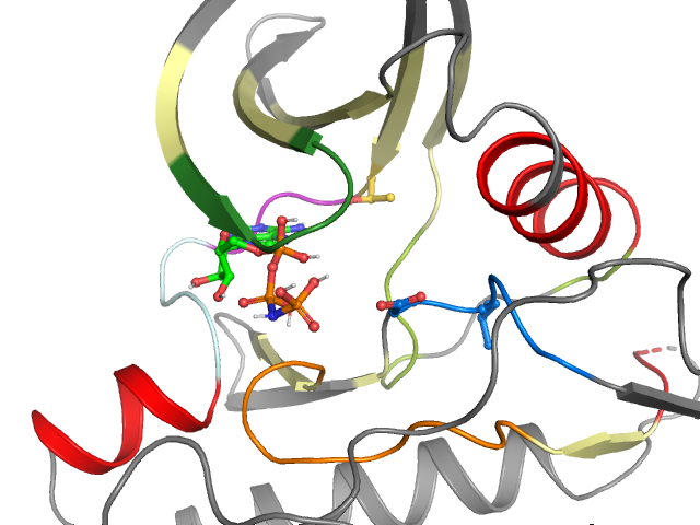 The orthosteric binding pocket