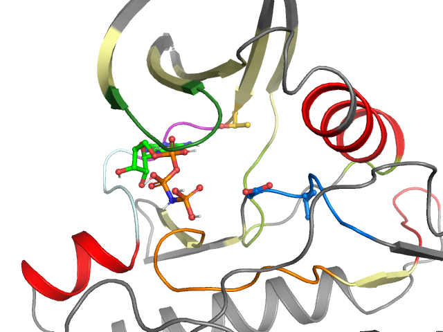 The orthosteric binding pocket