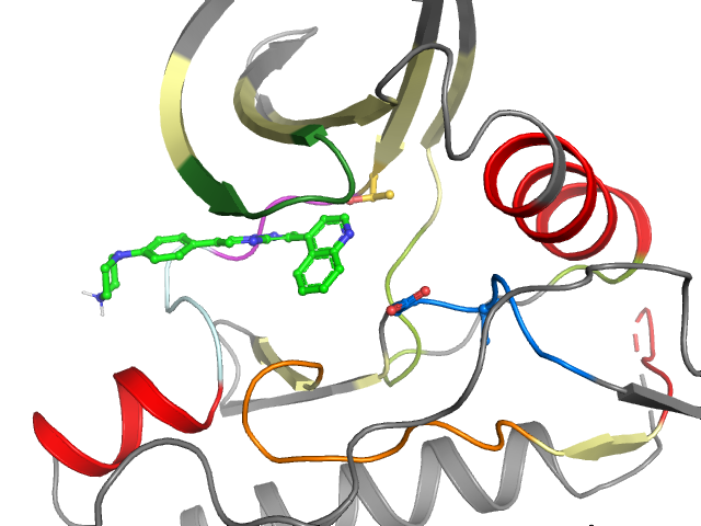 The orthosteric binding pocket