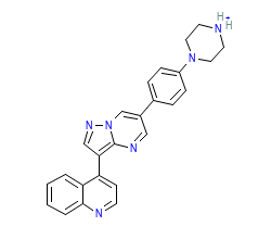 2D structure of the orthosteric ligand