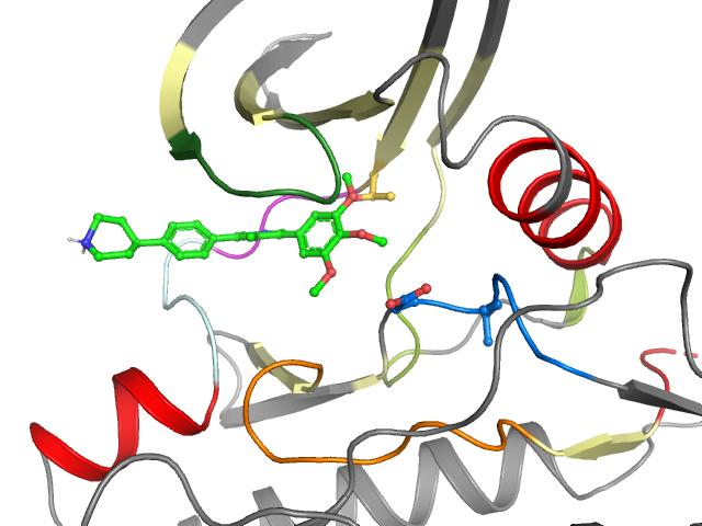 The orthosteric binding pocket