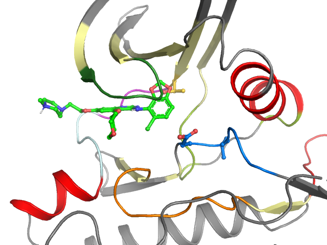 The orthosteric binding pocket