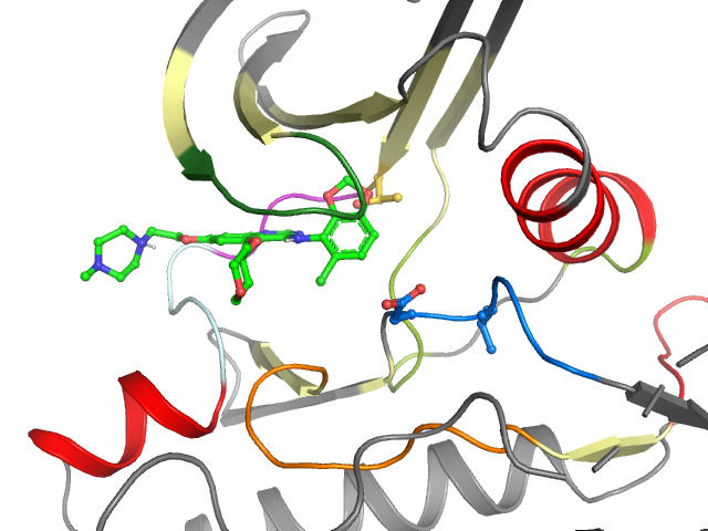 The orthosteric binding pocket