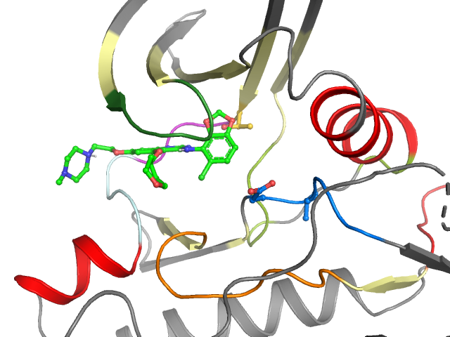 The orthosteric binding pocket