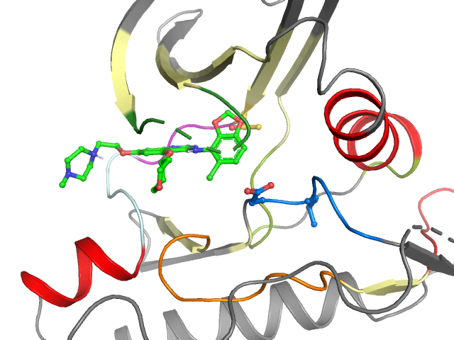 The orthosteric binding pocket