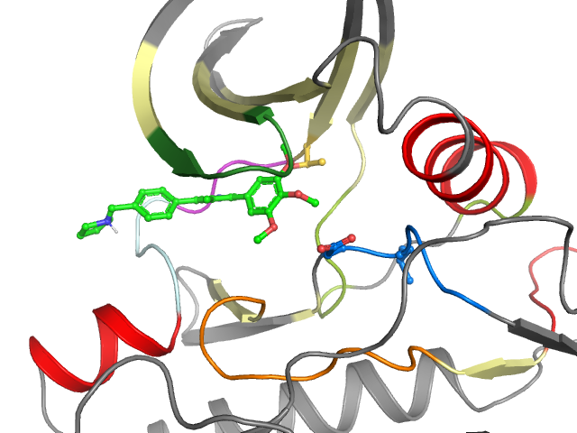 The orthosteric binding pocket