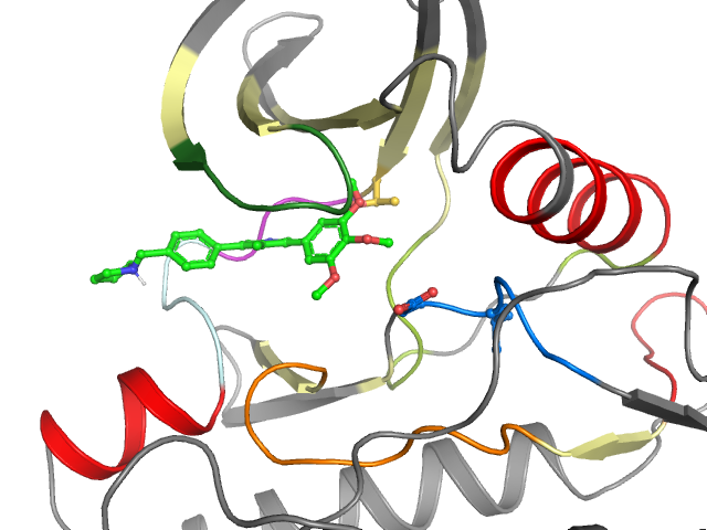 The orthosteric binding pocket