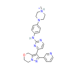 2D structure of the orthosteric ligand