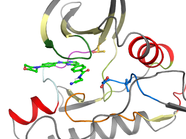 The orthosteric binding pocket