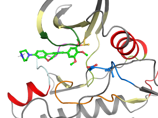 The orthosteric binding pocket
