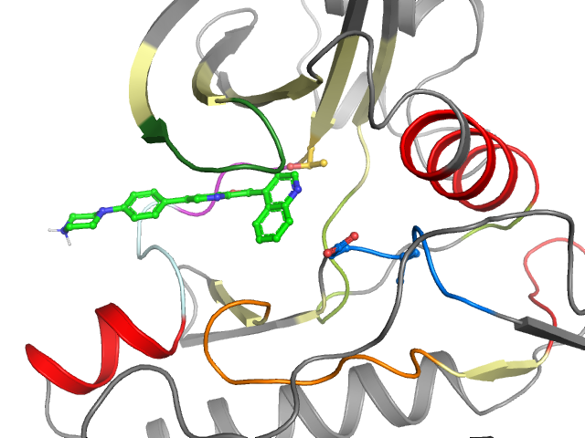 The orthosteric binding pocket