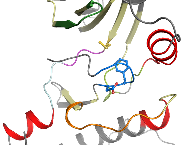 The orthosteric binding pocket