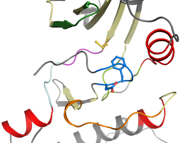 The orthosteric binding pocket