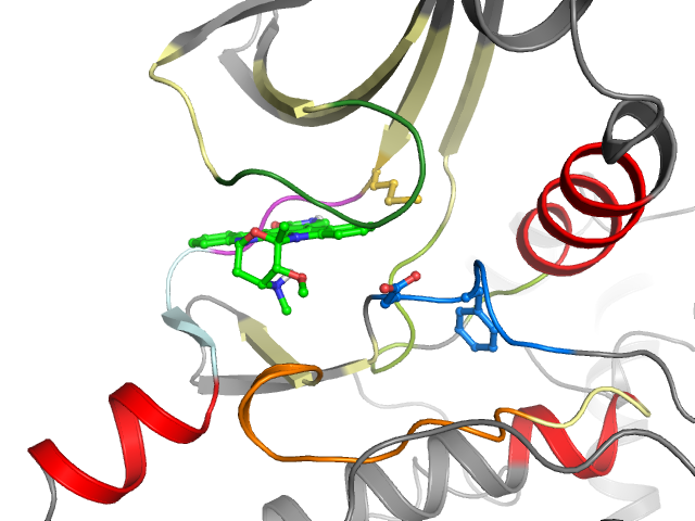 The orthosteric binding pocket