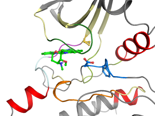 The orthosteric binding pocket