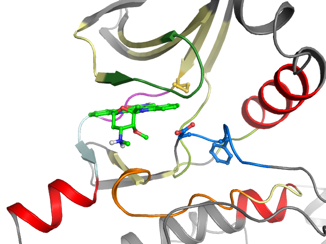 The orthosteric binding pocket