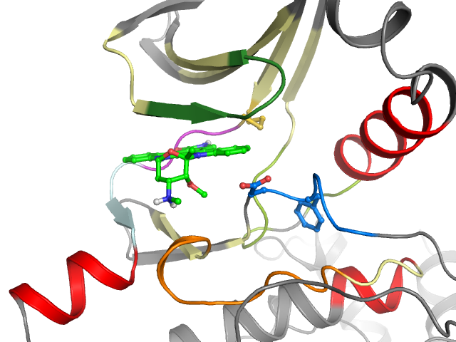 The orthosteric binding pocket