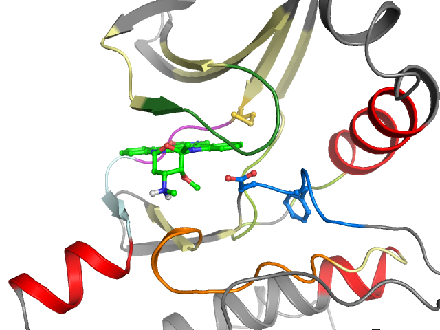 The orthosteric binding pocket