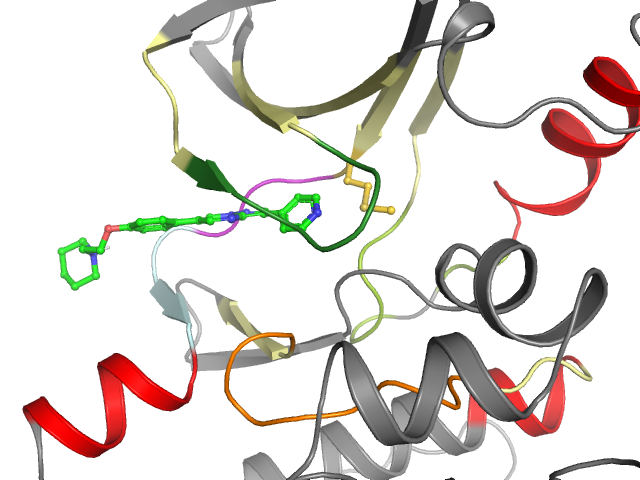 The orthosteric binding pocket