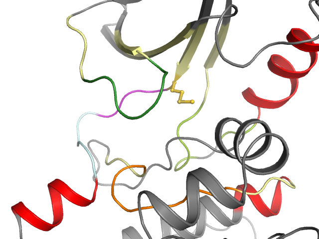 The orthosteric binding pocket