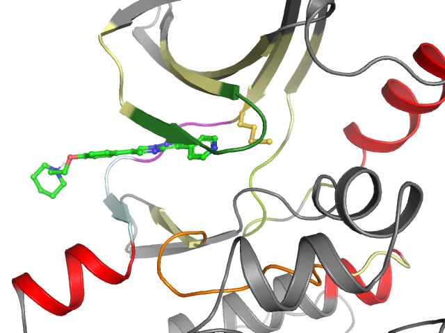 The orthosteric binding pocket
