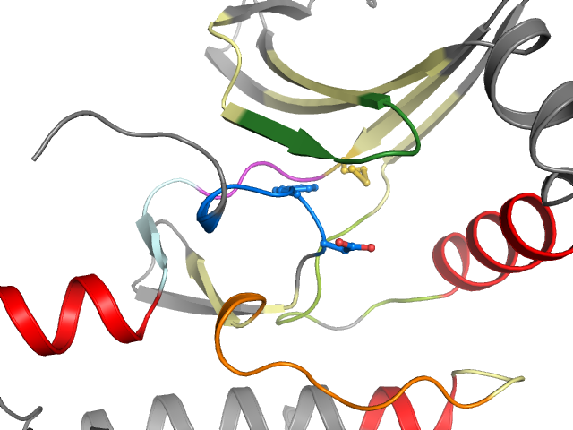 The orthosteric binding pocket