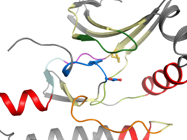 The orthosteric binding pocket