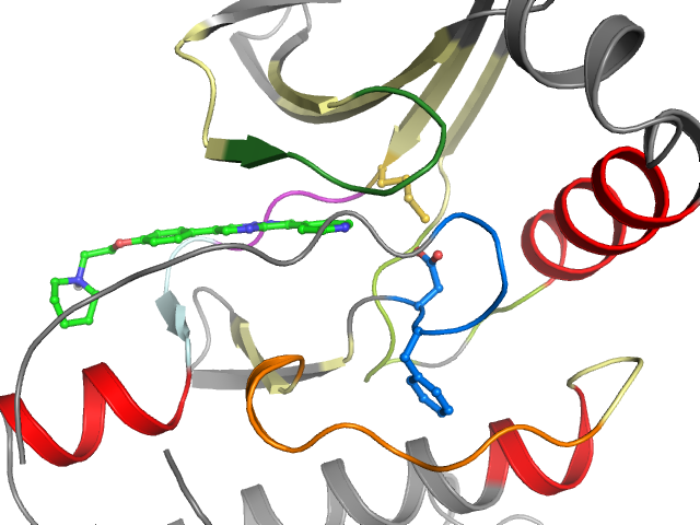 The orthosteric binding pocket