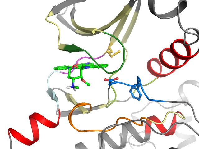The orthosteric binding pocket