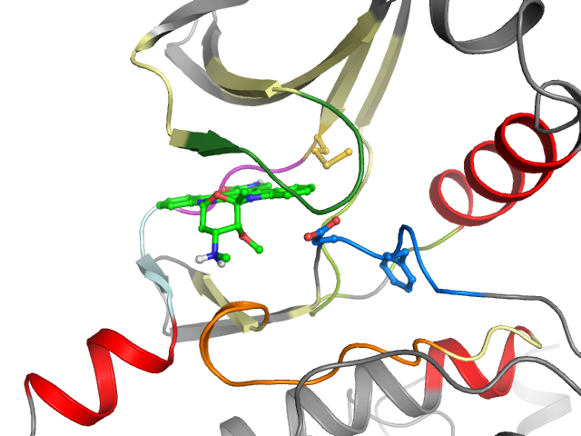 The orthosteric binding pocket