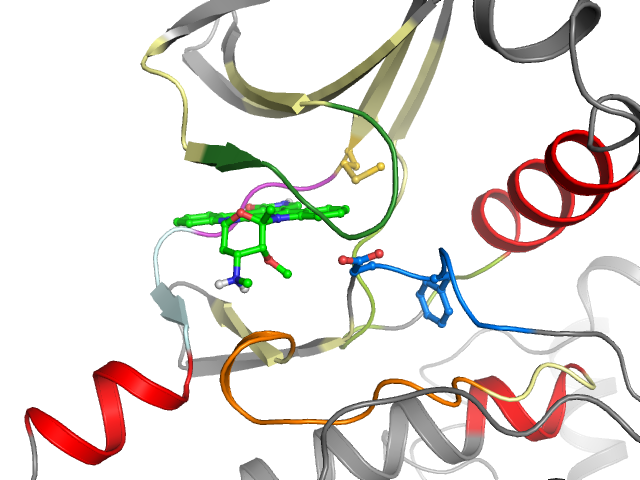 The orthosteric binding pocket