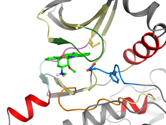 The orthosteric binding pocket