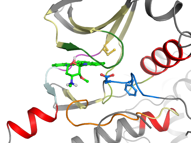 The orthosteric binding pocket