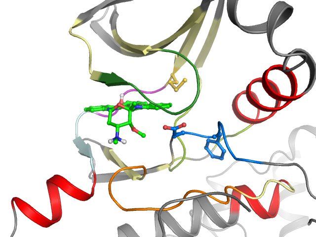 The orthosteric binding pocket