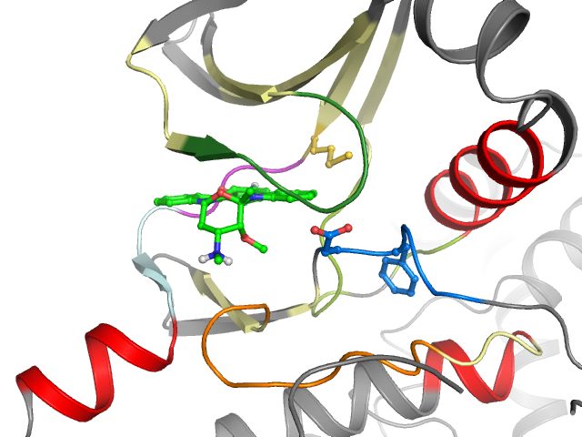 The orthosteric binding pocket
